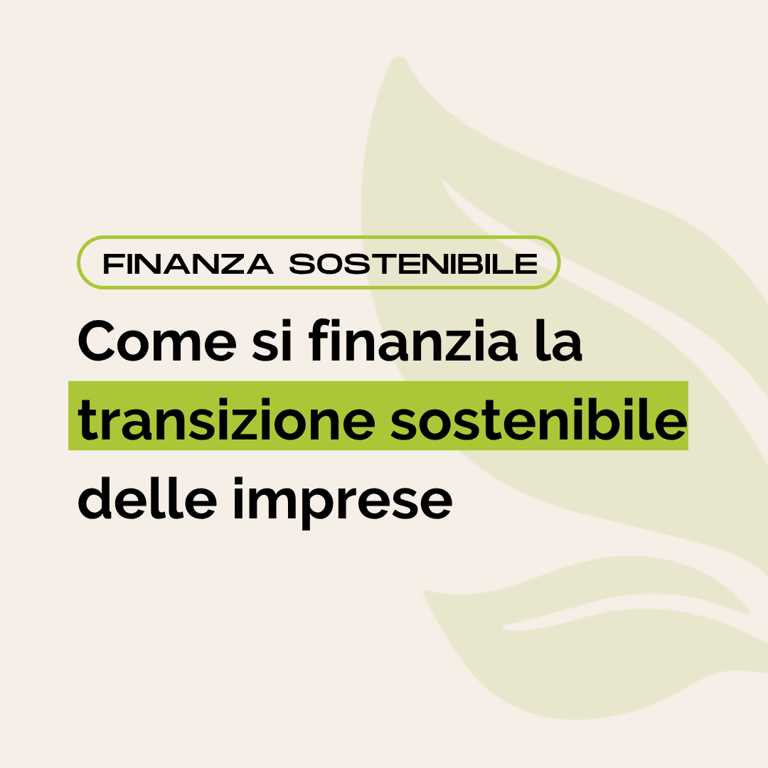 Come si finanzia la transizione sostenibile delle imprese
